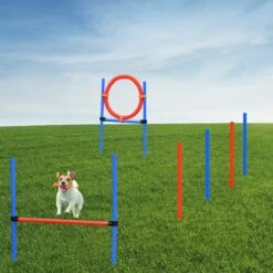 Merkloos Honden Agility Set - 23-delig - Agility Voor De Hond - Agility - Honden Parcours - Honden Training - Rood/Blauw -Hondenbenodigdheden Korting 1200x1200 2305