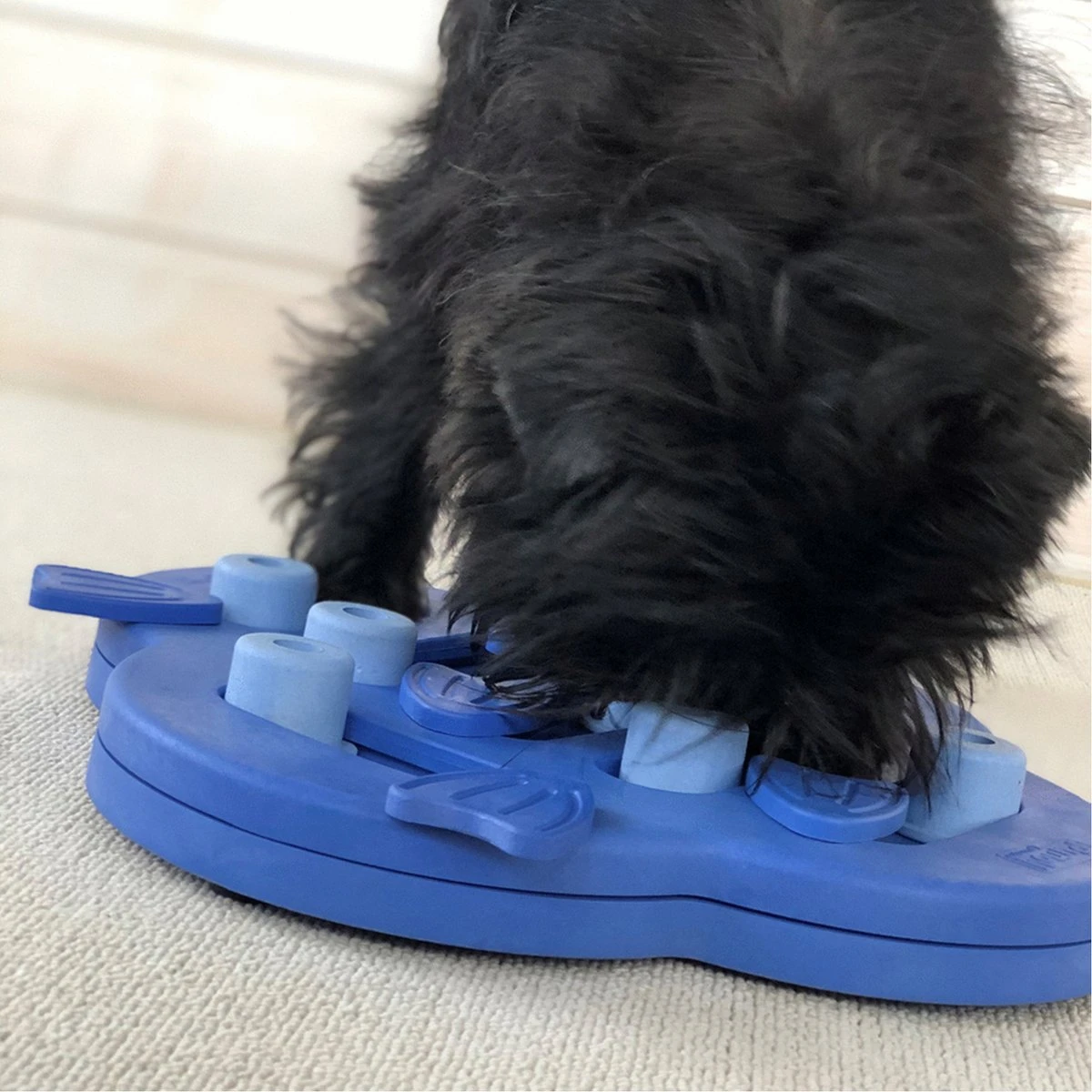 Nina Ottosson Dog Hide N Slide Composiet 33x33x5 Cm 8 Nina Ottosson Dog Hide N Slide Composiet 33x33x5 Cm - Afbeelding 8