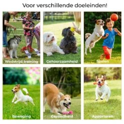 AYOO Agility Voor De Hond - Honden Training - Honden Behendigheid Set - Hondenparcours - Training Huisdieren - Honden Agility Set - Slalom - Horde - Draagzak - Agility Set - Oranje - Wit - GRATIS Speeltouw -Hondenbenodigdheden Korting 1200x1200 2314