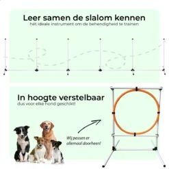AYOO Agility Voor De Hond - Honden Training - Honden Behendigheid Set - Hondenparcours - Training Huisdieren - Honden Agility Set - Slalom - Horde - Draagzak - Agility Set - Oranje - Wit - GRATIS Speeltouw -Hondenbenodigdheden Korting 1200x1200 2315