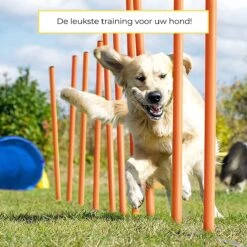 AYOO Agility Voor De Hond - Honden Agility Set - Honden Training - Honden Behendigheid Set - Honden Parcours - Training Huisdieren - Tunnel - Slalom - Horde - Draagzak - 21 Delig - GRATIS Speeltouw -Hondenbenodigdheden Korting 1200x1200 2320