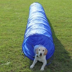 Agility Voor De Hond - Agility Set- Hondentunnel 300 Cm- Slalom Set - Horde - Startveld - Honden Behendigheidsset - 16 Delig - Tunnel - Slalom - Horde - Agility Set Voor De Hond - Agility Set -Hondenbenodigdheden Korting 1200x1200 2337