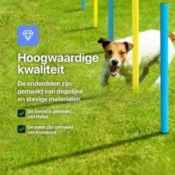 Tavaro Agility Voor De Hond - Honden Training - Hondentunnel - Springhoepel - Horde - Slalom - Honden Behendigheid Trainingsset -Hondenbenodigdheden Korting 1200x1200 2350