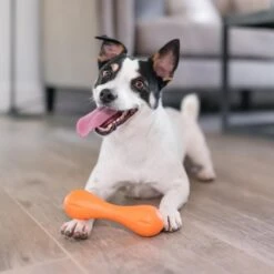 West Paw Zogoflex Hurley - Super Sterk Kauwbot Voor Honden - Kleur: Blauw, Maat: Large -Hondenbenodigdheden Korting 1200x1200 2352