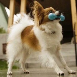 West Paw Zogoflex Hurley - Super Sterk Kauwbot Voor Honden - Kleur: Blauw, Maat: Large -Hondenbenodigdheden Korting 1200x1200 2353