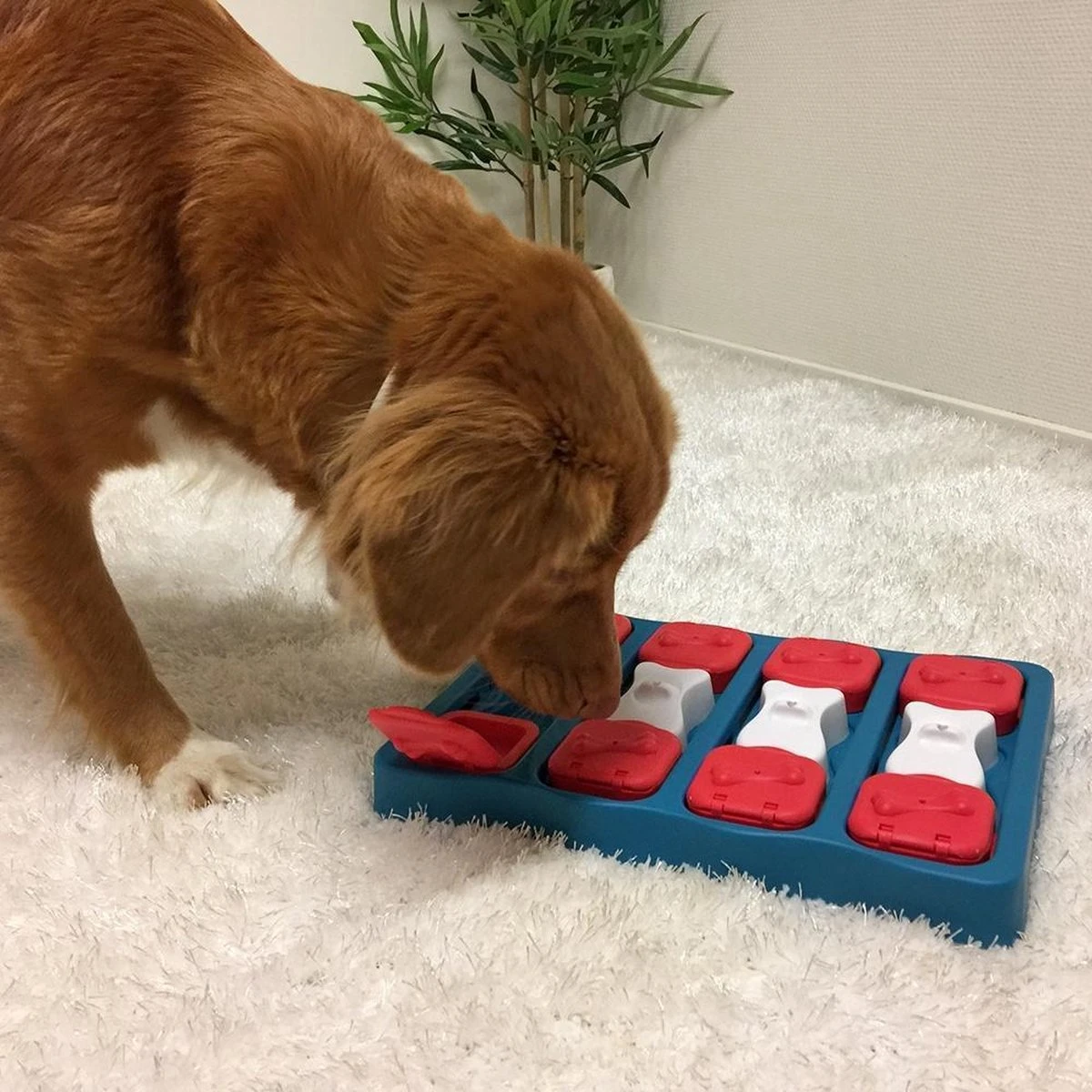 Nina Ottosson - Hondenspel - Dog Brick 4 Nina Ottosson - Hondenspel - Dog Brick - Afbeelding 4