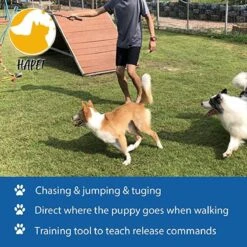 CF Pack - Hond Buitenspeelgoed Actief Behendigheid Touw Dog Flirt Pole Flirtpole Toy Tug Tease Wand Non-Bungee Cord Dog Toy For Fun Obedience Training Extandable Toy Honden Speelgoed Hondenspeelgoed Behendigheidspeelgoed -Hondenbenodigdheden Korting 1200x1200 2364