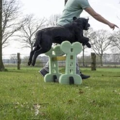 Dog Agility Set Indoor En Outdoor - Honden Trainingsset - -Hondenbenodigdheden Korting 1200x1200 2366