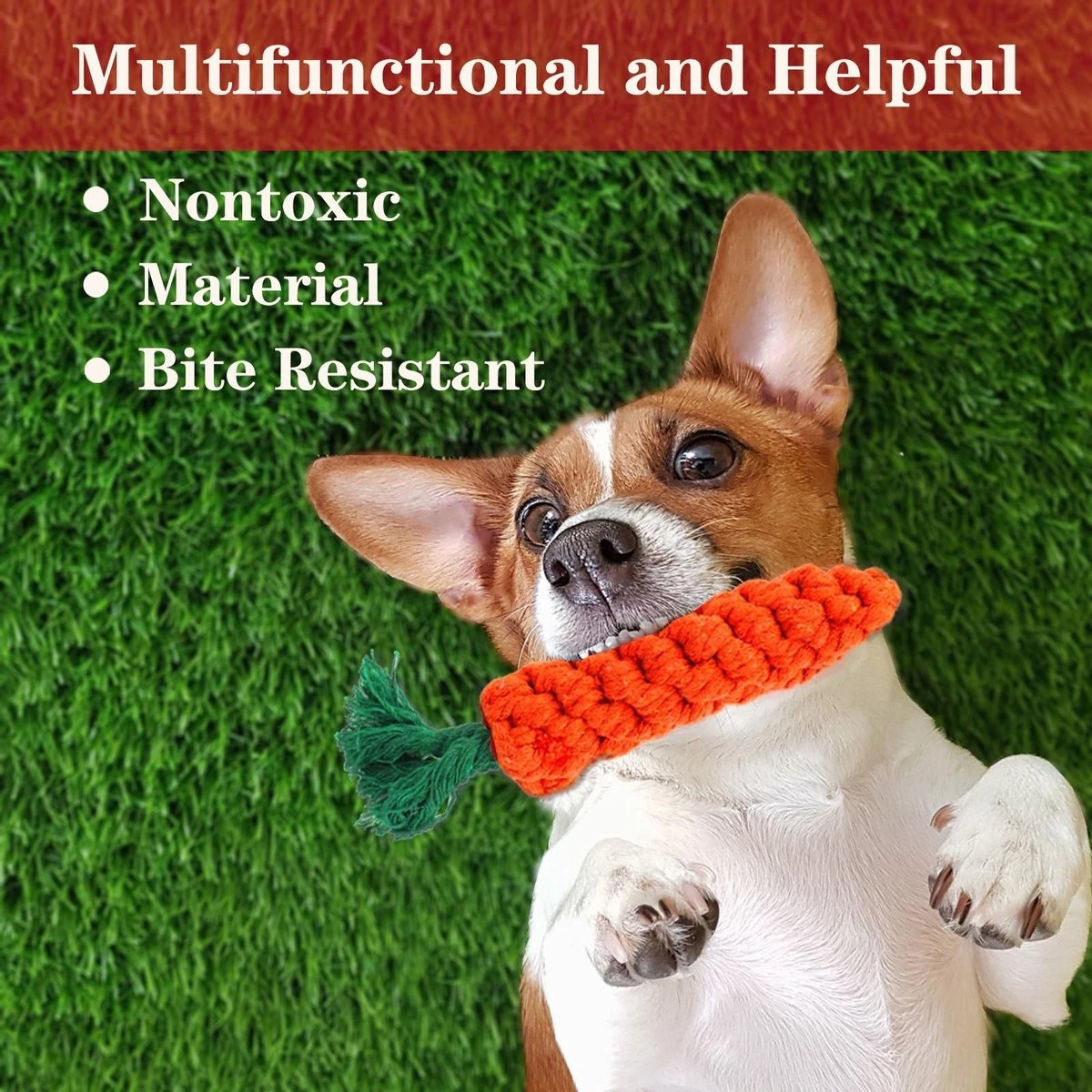 Nobleza Honden Speelgoed Set PLJ - 10 Stuks 6 Nobleza Honden Speelgoed Set PLJ - 10 Stuks - Afbeelding 6