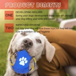 Nobleza Honden Speelgoed Set PLJ - 10 Stuks 16 Nobleza Honden Speelgoed Set PLJ - 10 Stuks -Hondenbenodigdheden Korting 1200x1200 2382