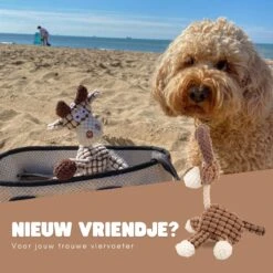 Dutchwide Honden - Knuffel - Met Piep - Extra Sterk - Speelgoed - Pluche - Hondenknuffel - Intelligentie 11 Dutchwide Honden - Knuffel - Met Piep - Extra Sterk - Speelgoed - Pluche - Hondenknuffel - Intelligentie -Hondenbenodigdheden Korting 1200x1200 2406