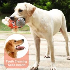 Merkloos Hondenknuffel - Interactief Piepspeelgoed Voor Honden - Teddy - Stoer Hondenkauwspeelgoed - Met Katoenen Materiaal En Gekreukt Papier - Hondenspeelgoed Voor Grote En Kleine Honden -Hondenbenodigdheden Korting 1200x1200 2412