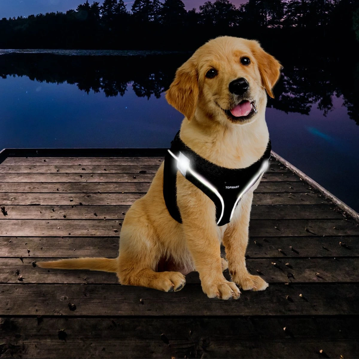 Topmast Airmesh Hondentuig - Click & Go - Petrol - S - Reflecterend - Harnas Hond - Hondentuigje - Hondenharnas - Voor Puppy, Kleine, Medium En Grote Hond 4 Topmast Airmesh Hondentuig - Click & Go - Petrol - S - Reflecterend - Harnas Hond - Hondentuigje - Hondenharnas - Voor Puppy, Kleine, Medium En Grote Hond - Afbeelding 4