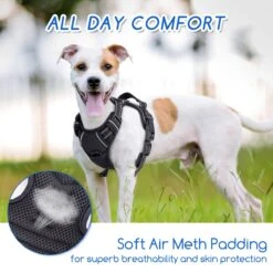 Nobleza 42ZHW - Hondenharnas - Hondentuigje - Anti Trek - S - Zwart -Hondenbenodigdheden Korting 1200x1200 2441