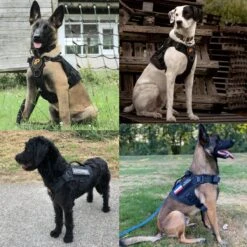 Always Prepared © Pro K9 Hondentuig - Anti Trek - Y Tuig - Middel En Grote Hond - Veiligheidstuig -Hondenbenodigdheden Korting 1200x1200 2442