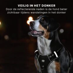 Hondentuigje - Anti-Trek Tuig - Hondenharnas - Y Tuig Hond - Reflecterend - Zwart - Maat S -Hondenbenodigdheden Korting 1200x1200 2456