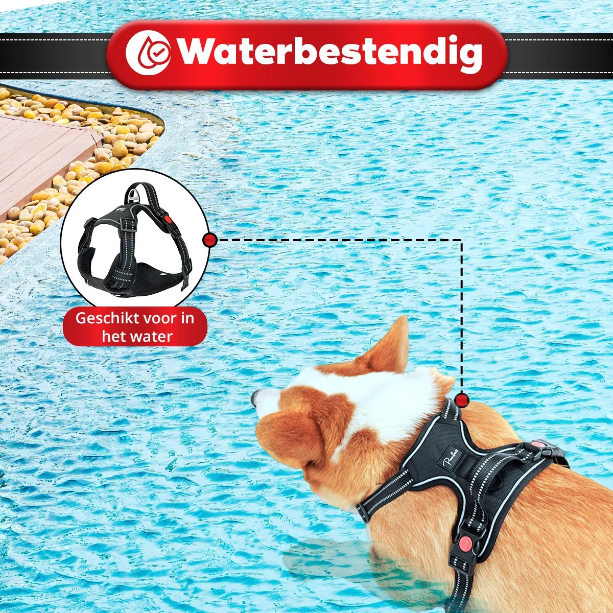 Purrr Fect Hondentuigje - Anti-Trek Tuig - Hondenharnas - Y Tuig Hond - Waterproof - Reflecterend - Verstelbaar - Maat L 7 Purrr Fect Hondentuigje - Anti-Trek Tuig - Hondenharnas - Y Tuig Hond - Waterproof - Reflecterend - Verstelbaar - Maat L - Afbeelding 7