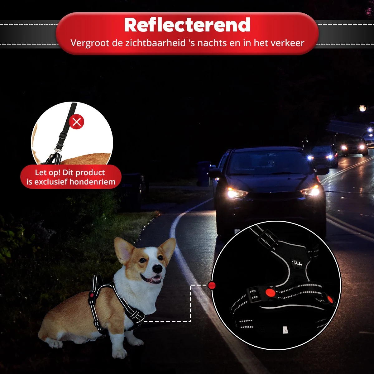 Purrr Fect Hondentuigje - Anti-Trek Tuig - Hondenharnas - Y Tuig Hond - Waterproof - Reflecterend - Verstelbaar - Maat L 9 Purrr Fect Hondentuigje - Anti-Trek Tuig - Hondenharnas - Y Tuig Hond - Waterproof - Reflecterend - Verstelbaar - Maat L - Afbeelding 9