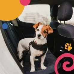 Hondentuig - Hondenharnas - Hondenriem - Anti Trek - Autogordel Hond - Zwart - Maat S -Hondenbenodigdheden Korting 1200x1200 2471