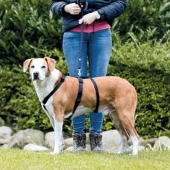 Trixie Stay Hondentuig Zwart Maat - S/M 11 Trixie Stay Hondentuig Zwart Maat - S/M -Hondenbenodigdheden Korting 1200x1200 2473