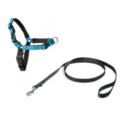 PetSafe Easy Walk® Deluxe Harness - Hondentuig - Blauw - L -1,8 M -Hondenbenodigdheden Korting 1200x1200 2476