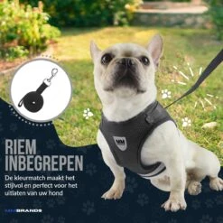 MM Brands Hondentuig - Harnas Hond - Y Tuig - Reflectie - Small - Zwart 12 MM Brands Hondentuig - Harnas Hond - Y Tuig - Reflectie - Small - Zwart -Hondenbenodigdheden Korting 1200x1200 2499