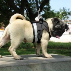 Hondentuig, Hondenharnas Met Hondenriem – Reflecterend - Zwart – Maat M (borst 35-40 Cm) -Hondenbenodigdheden Korting 1200x1200 2506