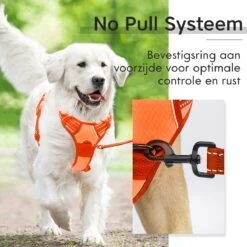 Sharon B - Hondentuigje - Voor Middelgrote Honden - Oranje - Maat M - No Pull - Anti Trek - Reflecterend - Hoeft Niet Over Het Hoofd Aangetrokken Te Worden -Hondenbenodigdheden Korting 1200x1200 2509