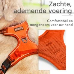 Sharon B - Hondentuigje - Voor Middelgrote Honden - Oranje - Maat M - No Pull - Anti Trek - Reflecterend - Hoeft Niet Over Het Hoofd Aangetrokken Te Worden -Hondenbenodigdheden Korting 1200x1200 2510