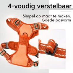 Sharon B - Hondentuigje - Voor Middelgrote Honden - Oranje - Maat M - No Pull - Anti Trek - Reflecterend - Hoeft Niet Over Het Hoofd Aangetrokken Te Worden -Hondenbenodigdheden Korting 1200x1200 2511