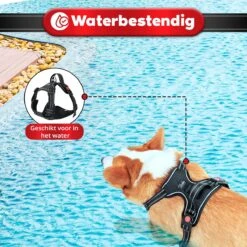 Purrr Fect Hondentuigje - Anti-Trek Tuig - Hondenharnas - Y Tuig Hond - Waterproof - Reflecterend - Verstelbaar - Maat M -Hondenbenodigdheden Korting 1200x1200 2516