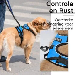 Sharon B - Hondentuigje - Voor Middelgrote Honden - Blauw - Maat M - No Pull Harnas - Anti Trek - Reflecterend - Hoeft Niet Over Het Hoofd Aangetrokken Te Worden -Hondenbenodigdheden Korting 1200x1200 2518