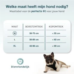 Hondentuigje Medium – Hondenharnas - Anti Trek Tuig Hond – Y Tuig – Reflecterend – Zwart – Maat M 12 Hondentuigje Medium – Hondenharnas - Anti Trek Tuig Hond – Y Tuig – Reflecterend – Zwart – Maat M -Hondenbenodigdheden Korting 1200x1200 2532