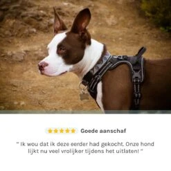 Hondentuigje Medium – Hondenharnas - Anti Trek Tuig Hond – Y Tuig – Reflecterend – Zwart – Maat M 14 Hondentuigje Medium – Hondenharnas - Anti Trek Tuig Hond – Y Tuig – Reflecterend – Zwart – Maat M -Hondenbenodigdheden Korting 1200x1200 2534