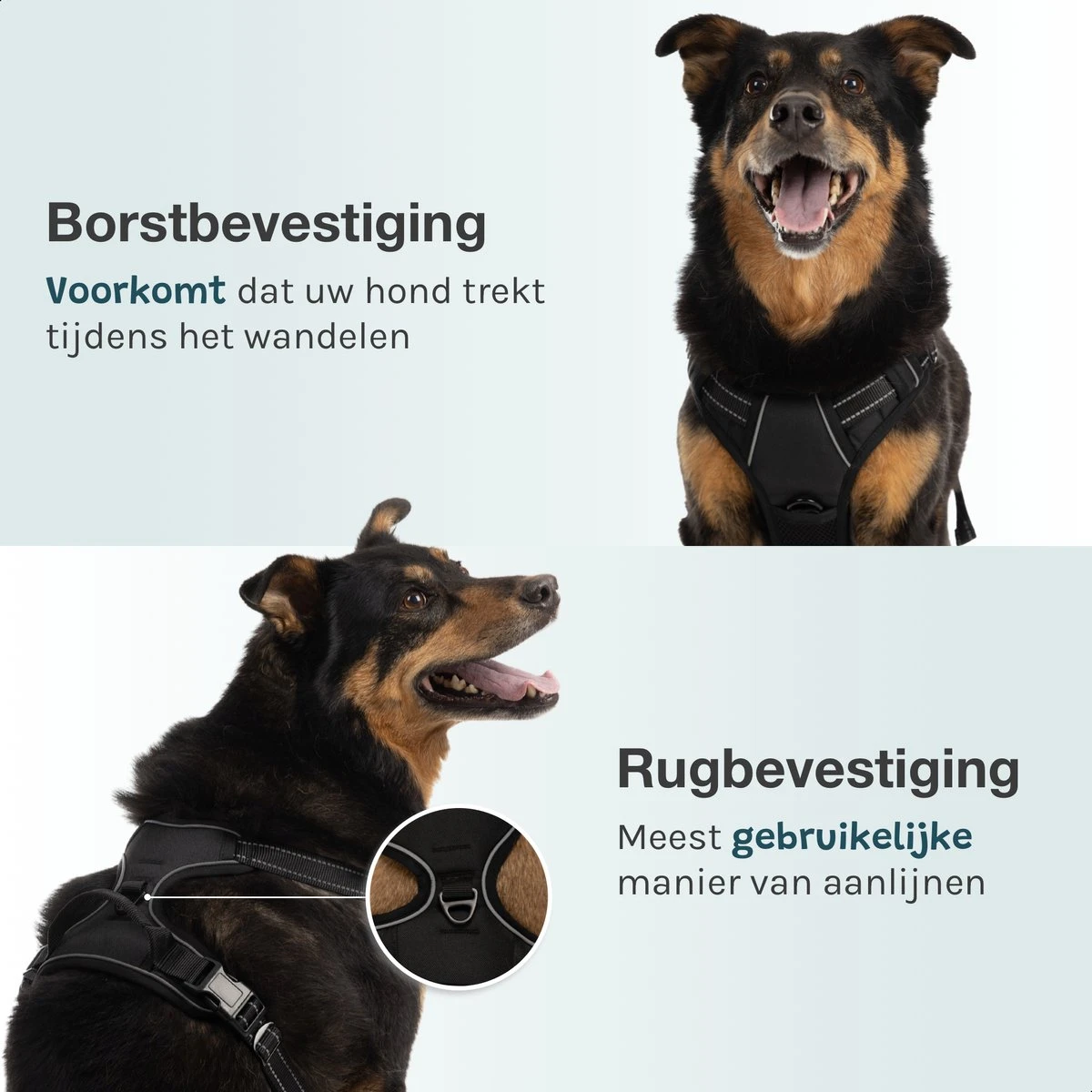 Hondentuigje – Hondenharnas - Anti Trek Tuig Hond – Y Tuig – Reflecterend – Zwart – Maat XL 2 Hondentuigje – Hondenharnas - Anti Trek Tuig Hond – Y Tuig – Reflecterend – Zwart – Maat XL - Afbeelding 2