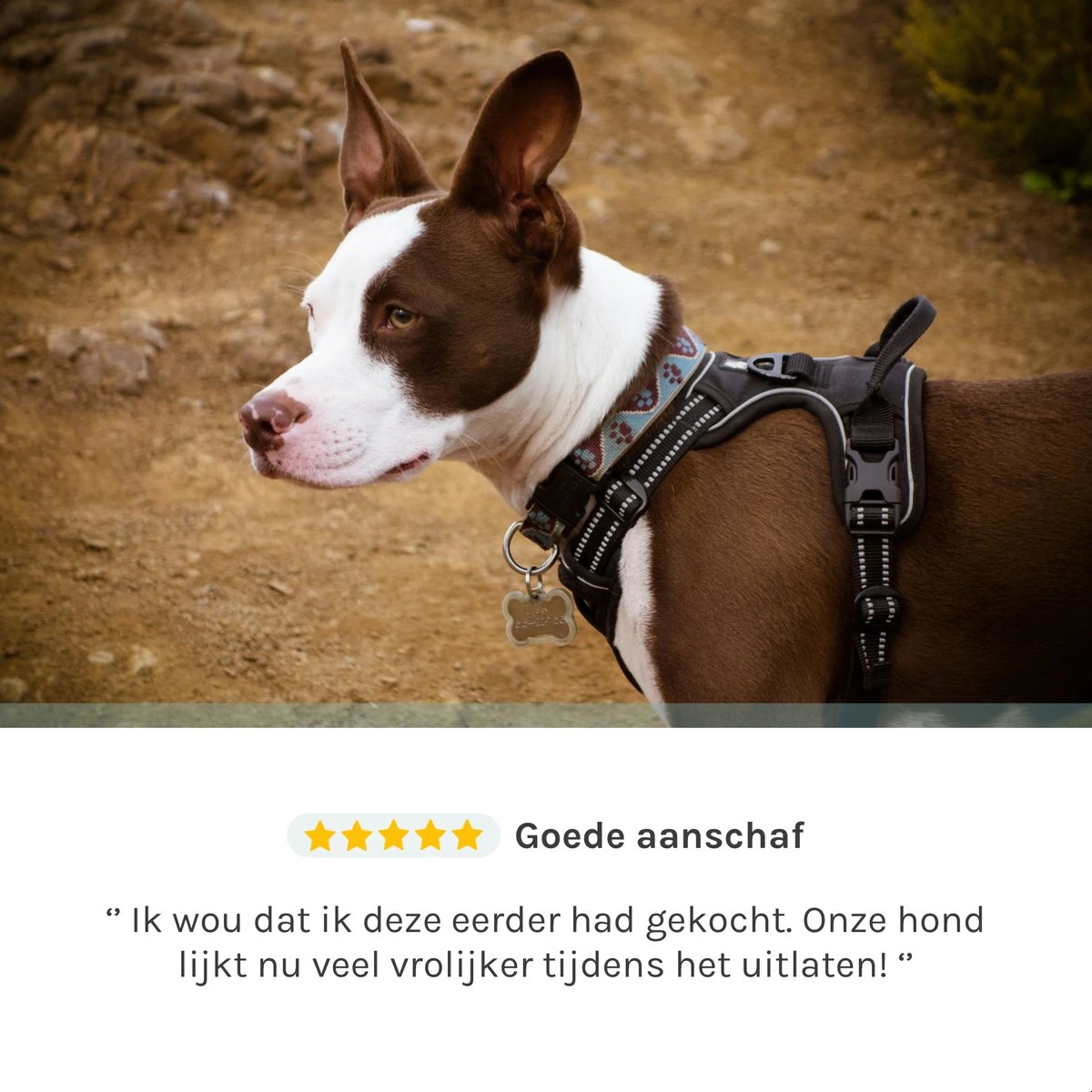 Hondentuigje – Hondenharnas - Anti Trek Tuig Hond – Y Tuig – Reflecterend – Zwart – Maat XL 7 Hondentuigje – Hondenharnas - Anti Trek Tuig Hond – Y Tuig – Reflecterend – Zwart – Maat XL - Afbeelding 7