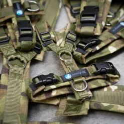 Hondenbenodigdheden Korting -Hondenbenodigdheden Korting 1200x1200 2560