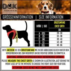 DDOXX Borstharnas Air Mesh, Step-In, Reflecterend | Vele Kleuren | Voor Kleine, Middelgrote En Middelgrote Honden | Hondenharnas Hond Kat Puppy | Kattenharnas Puppy Harnas | Zwart, M 25 DDOXX Borstharnas Air Mesh, Step-In, Reflecterend | Vele Kleuren | Voor Kleine, Middelgrote En Middelgrote Honden | Hondenharnas Hond Kat Puppy | Kattenharnas Puppy Harnas | Zwart, M -Hondenbenodigdheden Korting 1200x1200 2565