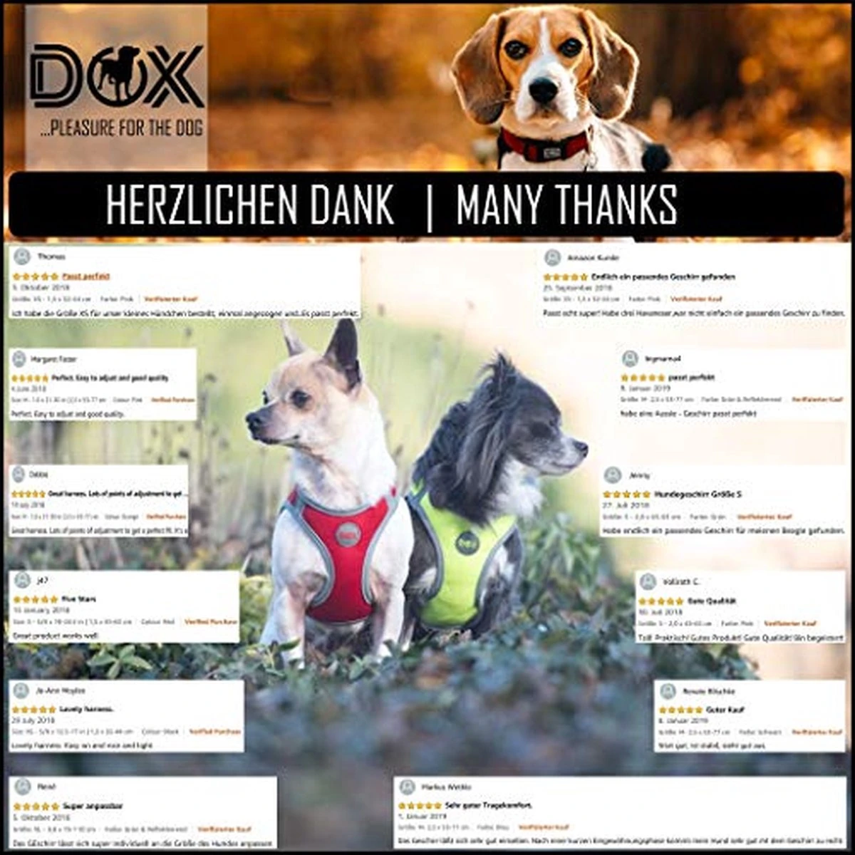 DDOXX Borstharnas Air Mesh, Step-In, Reflecterend | Vele Kleuren | Voor Kleine, Middelgrote En Middelgrote Honden | Hondenharnas Hond Kat Puppy | Kattenharnas Puppy Harnas | Zwart, M 13 DDOXX Borstharnas Air Mesh, Step-In, Reflecterend | Vele Kleuren | Voor Kleine, Middelgrote En Middelgrote Honden | Hondenharnas Hond Kat Puppy | Kattenharnas Puppy Harnas | Zwart, M - Afbeelding 13
