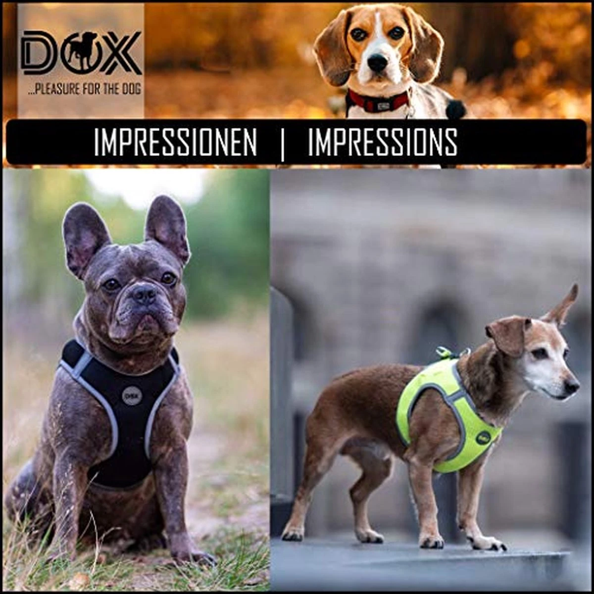 DDOXX Borstharnas Air Mesh, Step-In, Reflecterend | Vele Kleuren | Voor Kleine, Middelgrote En Middelgrote Honden | Hondenharnas Hond Kat Puppy | Kattenharnas Puppy Harnas | Zwart, M 15 DDOXX Borstharnas Air Mesh, Step-In, Reflecterend | Vele Kleuren | Voor Kleine, Middelgrote En Middelgrote Honden | Hondenharnas Hond Kat Puppy | Kattenharnas Puppy Harnas | Zwart, M - Afbeelding 15