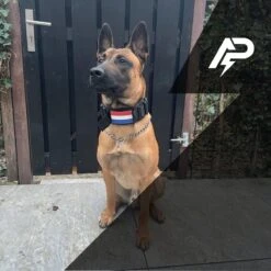 Always Prepared © Pro K9 Complete Set – Anti Trek Tuig – Honden Harnas – Y Tuig Hond – Trainings Riem – Best Getest 2022 – Halsband Hond – Middel En Grote Hond – Honden Tuigje – Harnas Hond – Veiligheidstuig – 450KG Anti Trek Test – Combi Deal 35 Always Prepared © Pro K9 Complete Set – Anti Trek Tuig – Honden Harnas – Y Tuig Hond – Trainings Riem – Best Getest 2022 – Halsband Hond – Middel En Grote Hond – Honden Tuigje – Harnas Hond – Veiligheidstuig – 450KG Anti Trek Test – Combi Deal -Hondenbenodigdheden Korting 1200x1200 2569