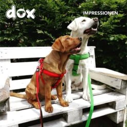 DDOXX Hondenharnas Nylon, Step-In, Verstelbaar, Uitbraakbestendig | Voor Kleine, Middelgrote & Grote Honden | Borstharnas Hond Kat Puppy Auto | Puppy Harnas Kat Harnas | Rood, S -Hondenbenodigdheden Korting 1200x1200 2571