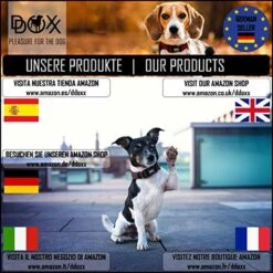 DDOXX Hondenharnas, Reflecterend, Verstelbaar, Breakaway | Borstharnas Voor Klein, Middelgroot | Hondenharnas Hond Kat Puppy Auto | Kattenharnas Puppy Harnas | Roze Roze, S -Hondenbenodigdheden Korting 1200x1200 2576