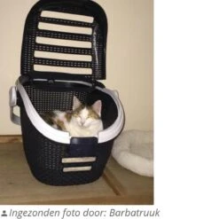 Curver Reismand - Antraciet - 51 X 38 X 33 Cm -Hondenbenodigdheden Korting 1200x1200 2599