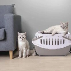 Nobleza 41WSJ - Reisbench - Reismand - Transportbox - 58 X 40 X 42.5 Cm - Grijs -Hondenbenodigdheden Korting 1200x1200 2601