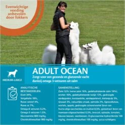 Wellness Core Grain Free Dog Ocean Zalm&Tonijn - Hondenvoer - 10 Kg -Hondenbenodigdheden Korting 1200x1200 28