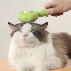 QT Petshop - Haarverwijderaar Voor Huisdieren - Groene Kattenborstel - Furminator Hondenborstel - Anti-Klit - Diervriendelijk - Dierenverzorging 11 QT Petshop - Haarverwijderaar Voor Huisdieren - Groene Kattenborstel - Furminator Hondenborstel - Anti-Klit - Diervriendelijk - Dierenverzorging -Hondenbenodigdheden Korting 1200x1200 290