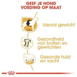 Royal Canin Labrador Retriever Adult 12 KG -Hondenbenodigdheden Korting 1200x1200 30