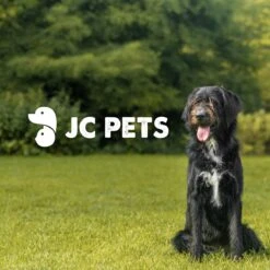 JC Pets Premium Pluizenborstel - Huisdierhaar Verwijderaar – Pluizenverwijderaar – Honden En Kattenhaar Verwijderaar - Ontpluizer - Pluizenroller 14 JC Pets Premium Pluizenborstel - Huisdierhaar Verwijderaar – Pluizenverwijderaar – Honden En Kattenhaar Verwijderaar - Ontpluizer - Pluizenroller -Hondenbenodigdheden Korting 1200x1200 309