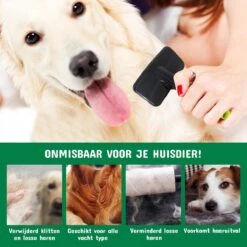 Mister Mill Slickerborstel Kat Hond - Hondenborstel Langharig Kortharig - Haarverwijderaar Voor Huisdieren - Kattenhaar Verwijderaar 15 Mister Mill Slickerborstel Kat Hond - Hondenborstel Langharig Kortharig - Haarverwijderaar Voor Huisdieren - Kattenhaar Verwijderaar -Hondenbenodigdheden Korting 1200x1200 329